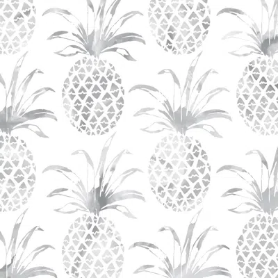 Pre-owned Aimee Wilder Pi�a Pintada Designer Wallpaper In Gull 'grey And White' In Gray