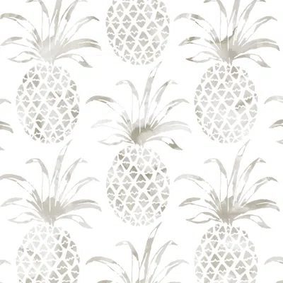 Pre-owned Aimee Wilder Pi�a Pintada Designer Wallpaper In Shell 'warm Grey And White' In Gray