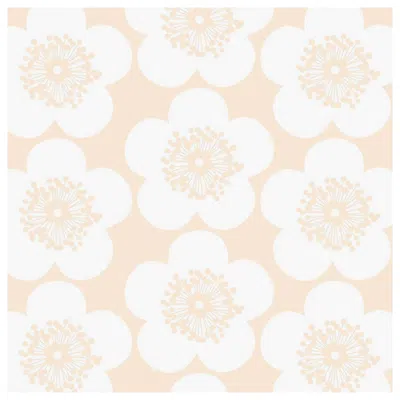 Pre-owned Aimee Wilder Pop Floral Designer Wallpaper In Fuzz 'soft Peach And White'