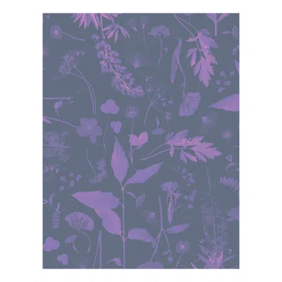 Pre-owned Aimee Wilder Roadside Flower Floral Wallpaper Purple, Jewel