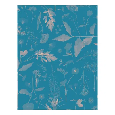 Pre-owned Aimee Wilder Roadside Flower Floral Wallpaper Teal And Apricot, Sade In Green