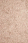 Aimee Wilder Sea Ray Wallpaper In Brown