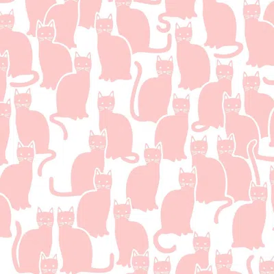 Pre-owned Aimee Wilder Shadowcat Designer Wallpaper In Peach 'peachy Pink On Soft White'