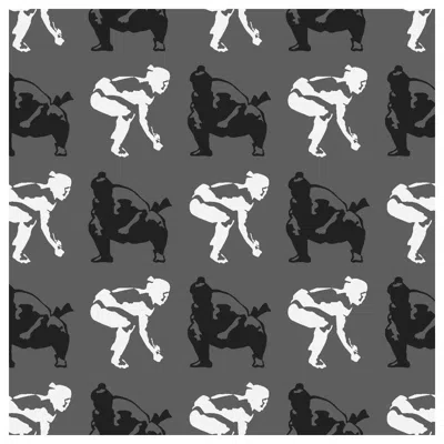 Pre-owned Aimee Wilder Sumo Designer Wallpaper In Halftone 'black, White And Grey'