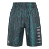 Air Jordan 11 Snakeskin Snake Skin Shorts For Men Blue/black