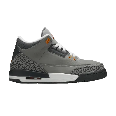 Pre-owned Air Jordan 3 Retro Gs 'cool Grey' 2021