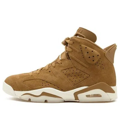 Air Jordan 6 Retro 'wheat' In Brown