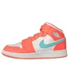 Air Jordan (gs)  1 Mid 'crimson Pulse'