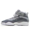 Air Jordan (gs)  6 Rings 'cool Grey White' In Gray