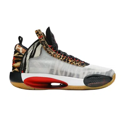 Pre-owned Air Jordan Jayson Tatum X  34 Gs 'welcome To The Zoo' | White | Kid's Size 7