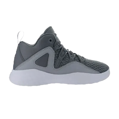 Pre-owned Air Jordan Jordan Formula 23 Ps 'cool Grey'
