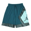 Air Jordan Jumpman Diamond Mesh Splicing Basketball Shorts Blue Green