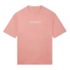 Air Jordan Men's  Solid Color Alphabet Logo Printing Round Neck Short Sleeve Pink T-shirt