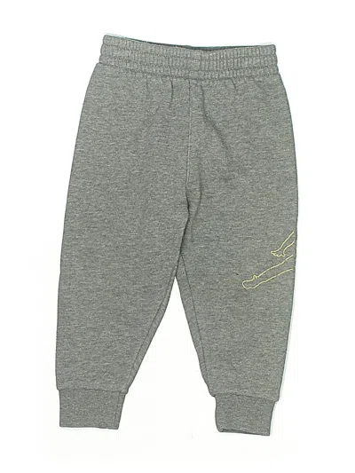 Pre-owned Air Jordan Kids' Sweatpants In Gray