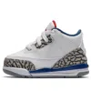Air Jordan (td)  3 Retro 'true Blue' 2016