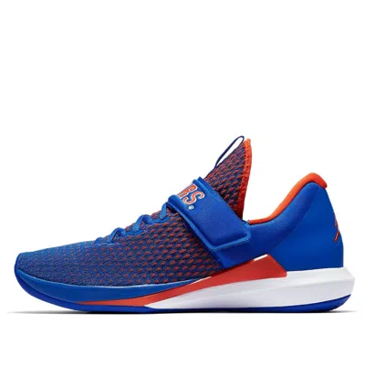 Air Jordan Trainer 3 'florida Gators' In Animal Print