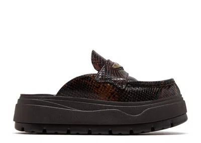 Air Jordan Wmns  Mule Se 'velvet Brown'