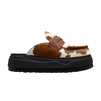 Pre-owned Air Jordan Wmns Jordan Mule 'cow Print' | Brown | Women's Size 5