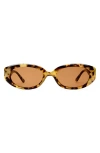 Aire Affinity 52mm Oval Sunglasses In Brown