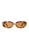 Aire Affinity 52mm Oval Sunglasses In Brown