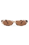 Aire Avior 53mm Cat Eye Sunglasses In Cookie Tort/brown Mono