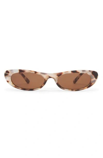 Aire Avior 53mm Cat Eye Sunglasses In Cookie Tort/brown Mono