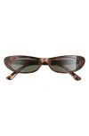 Aire Avior 53mm Cat Eye Sunglasses In Dark Tortoise