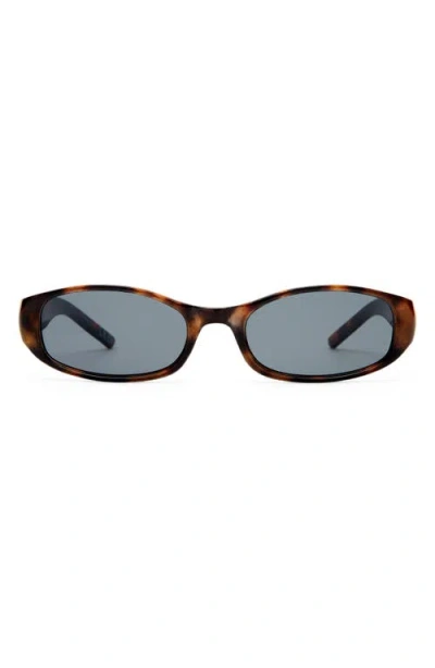 Aire Caellum 52mm Oval Sunglasses In Dark Tort/smoke Mono