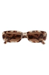 Aire Ceres 51mm Rectangular Sunglasses In Cookie Tort/brown Mono
