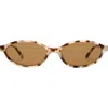 Aire Earthshine 54mm Oval Sunglasses In Brown