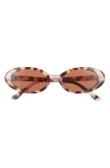 Aire Fornax 53mm Oval Sunglasses In Cookie Tort