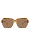 Aire Fortuna 63mm Square Sunglasses In Vintage Tort