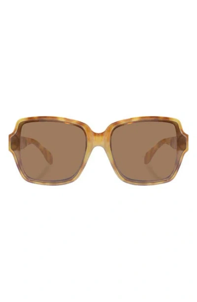 Aire Fortuna 63mm Square Sunglasses In Vintage Tortoise