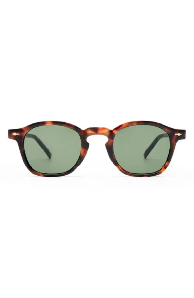 Aire Gender Inclusive Nyxis 47mm Round Sunglasses In Green