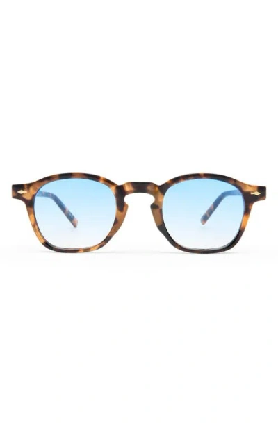 Aire Gender Inclusive Nyxis 47mm Round Sunglasses In Brown