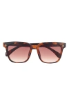 Aire Luna 54mm Square Sunglasses In Brown