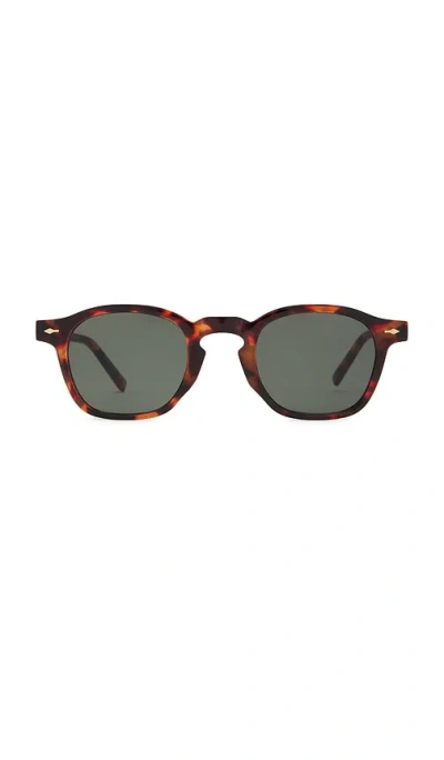 Aire Nyxis Sunglasses In Brown