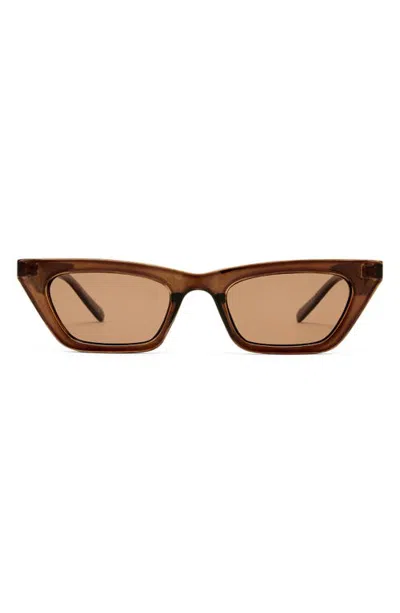 Aire Polaris 49mm Polarized Cat Eye Sunglasses In Brown
