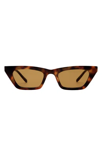 Aire Polaris 49mm Small Cat Eye Sunglasses In Brown