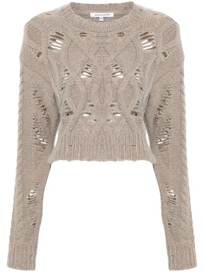 Aisling Camps Cable-knit Cropped Sweater In Grey