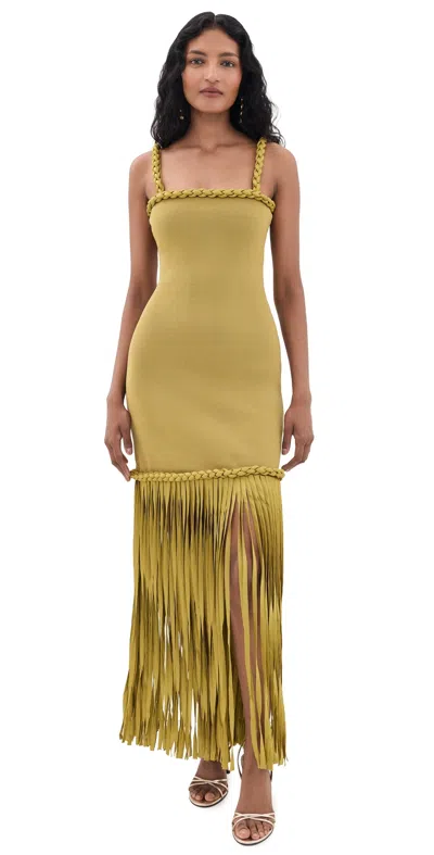 Aje Ribiona Knit Dress Olive In Green