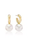 Akaila Reid Mini 18k Yellow Gold Pearl Earrings In White