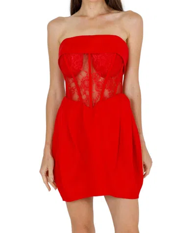 Akalia Daisy Strapless Lace Corset Dress In Red