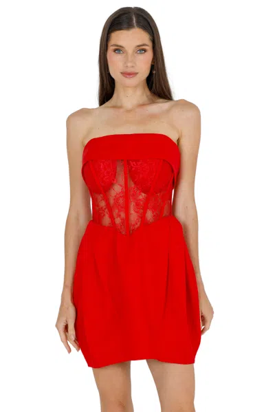 Akalia Daisy Strapless Lace Corset Dress In Red