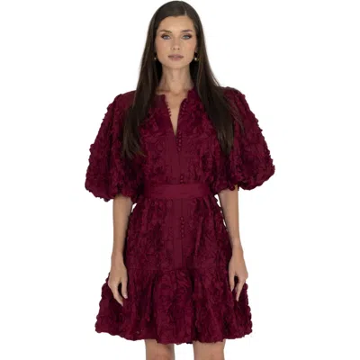 Akalia Eli Lace-up Mini Dress In Burgundy