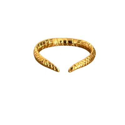 Aki Roc Jewelry Women's Edge Ring -gold