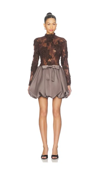 Aknvas Jette Lace Cocktail Dress In Brown