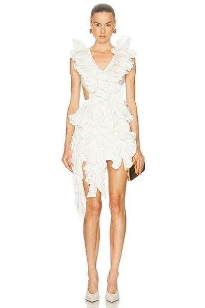 Aknvas Olive Ruffle Dress In White
