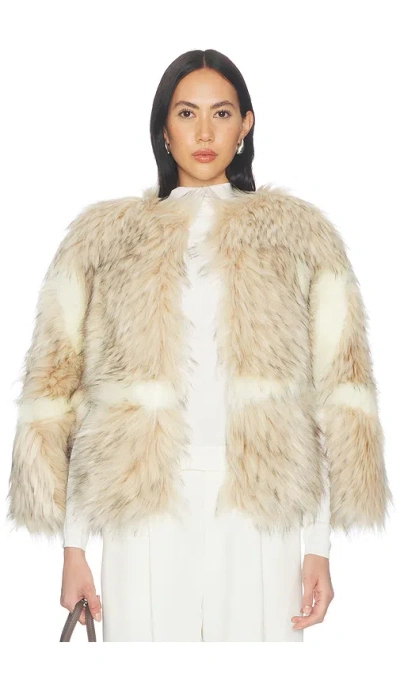 Aknvas Page Faux Fur Cape In Brown