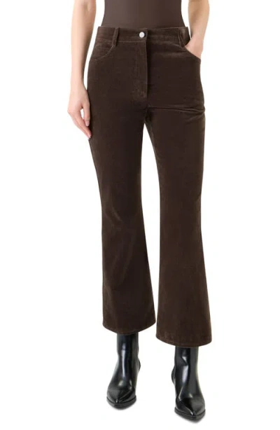Akris Punto Cali Stretch Velveteen Crop Bootcut Pants In Brown
